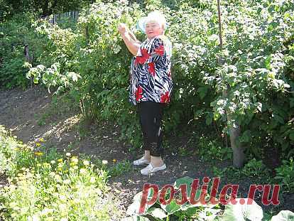 Ах, какая малина!