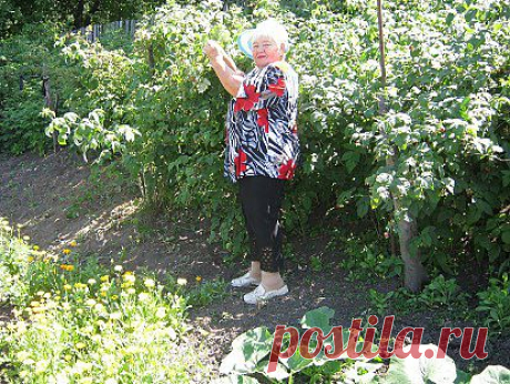 Ах, какая малина!