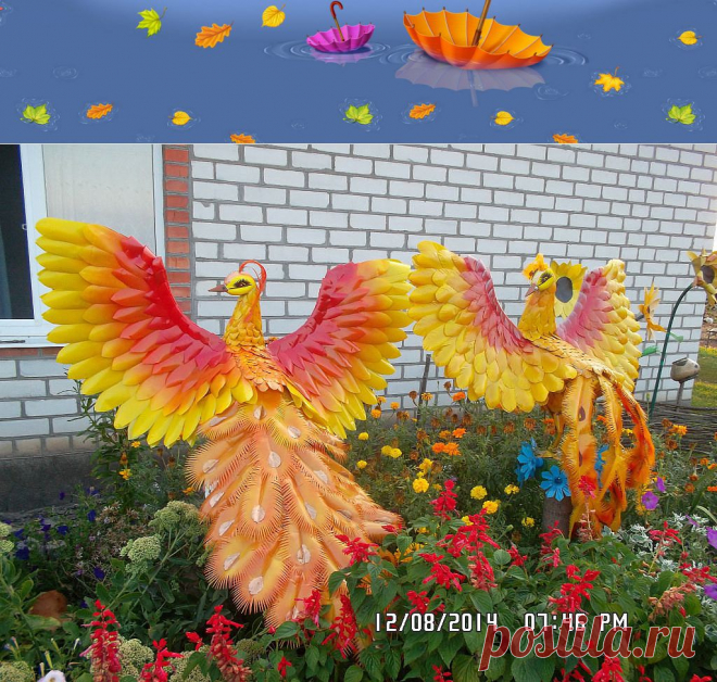 Одноклассники