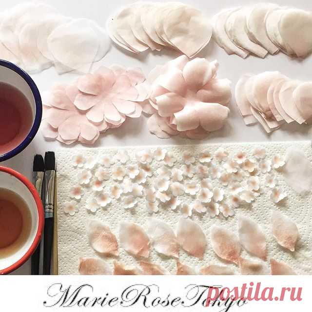 marie_rose_tokyo • View Yoko Asai🌺 ( @marie_rose_tokyo )'s Instagram Account