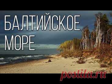 Балтийское море: Самое молодое и несоленое море на планете | Интересные факты про Балтийское море