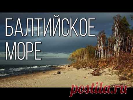 Балтийское море: Самое молодое и несоленое море на планете | Интересные факты про Балтийское море
