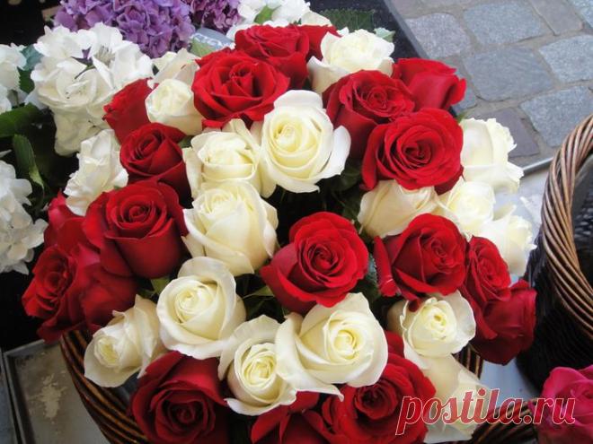 Нечто бесподобное....