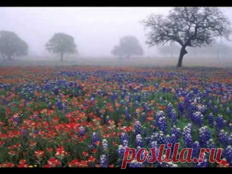 Музыка для души. Красивая, бесподобная мелодия! Music Sergey Chekalin. Music for the soul.