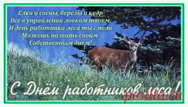 С Днем работников леса!
Сил, здоровья, везенья,
К жизни вам интереса
И в труде вдохновенья!