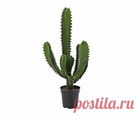 Oggi cambio tutto! | Accessori per la casa su Dalani