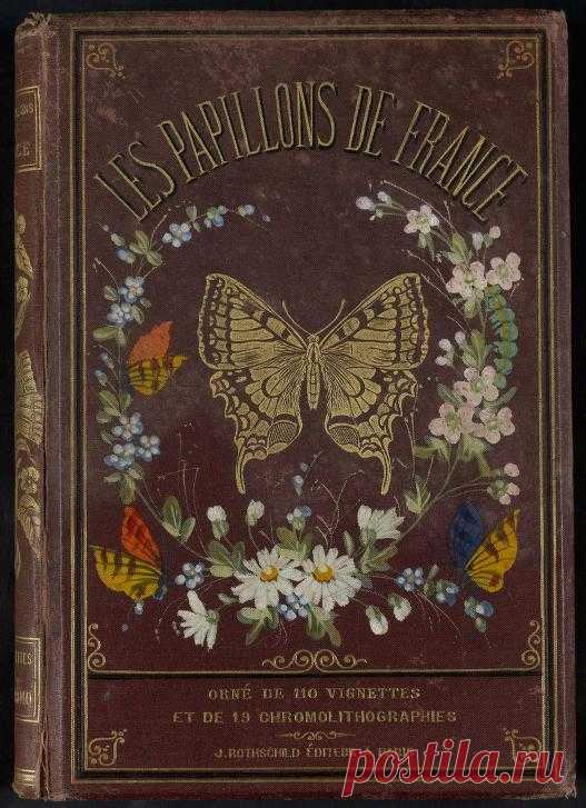 Les papillons de France