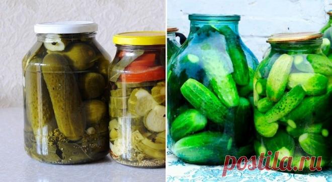 Как вкусно засолить огурцы в домашних условиях
