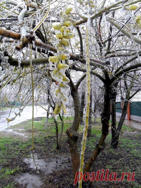 Творческо-дискуссионный клуб "ОТРАЖЕНИЯ"