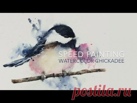 Speed Painting: Loose Watercolor Chickadee - YouTube
