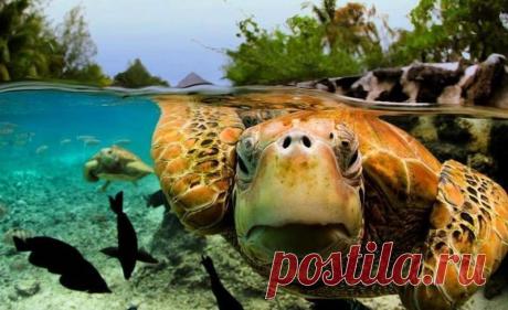 На грани двух миров (10 фото). | И смех и грех