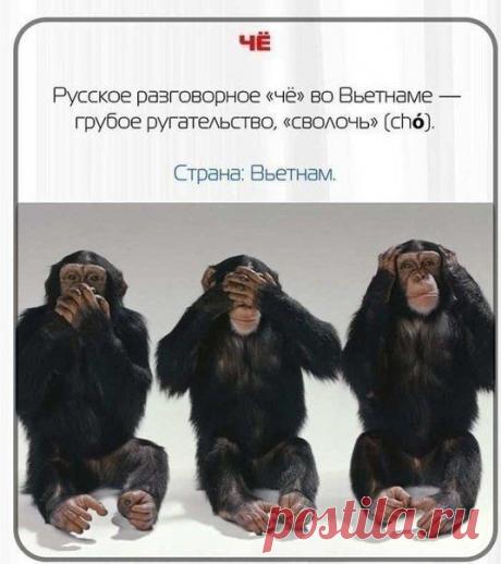 Запоминаем, чтоб не попасть в неприятную ситуацию! / Необычные поделки
