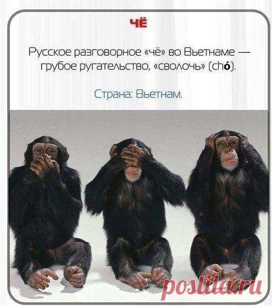 Запоминаем, чтоб не попасть в неприятную ситуацию! / Необычные поделки