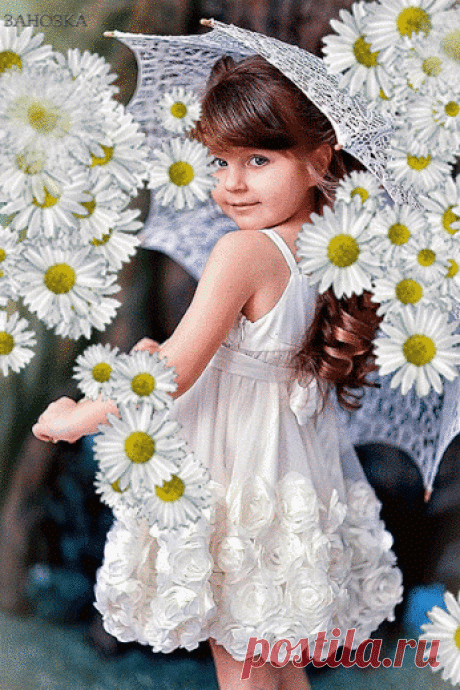 Живые фотографии – Google+