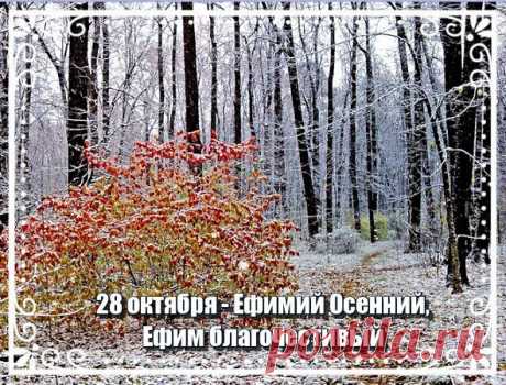 Пусть ваша жизнь цветёт, как розы,
А в сердце будет доброта.
Желаем счастья вам, и грёзы,
И пусть сбывается мечта. Открытки на День памяти Ефимия Осеннего!
