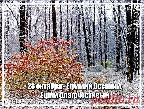 Пусть ваша жизнь цветёт, как розы,
А в сердце будет доброта.
Желаем счастья вам, и грёзы,
И пусть сбывается мечта. Открытки на День памяти Ефимия Осеннего!
