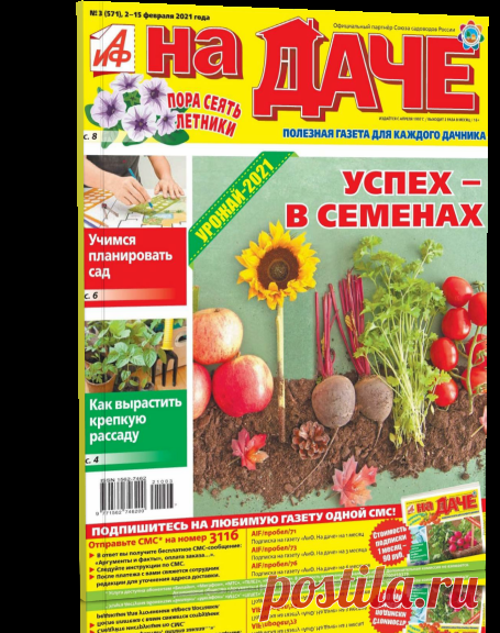 Читать журнал АИФ. НА ДАЧЕ № 03-2021 бесплатно - полная версия