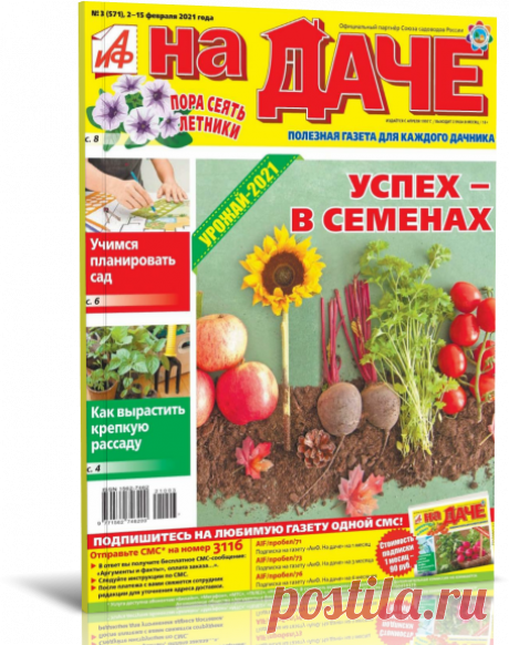 Читать журнал АИФ. НА ДАЧЕ № 03-2021 бесплатно - полная версия