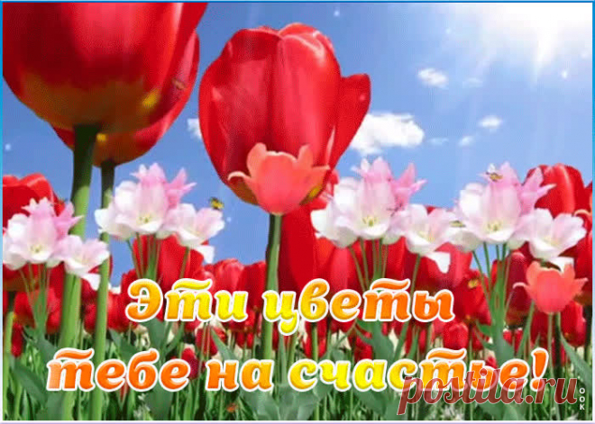 Анимация цветы на счастье