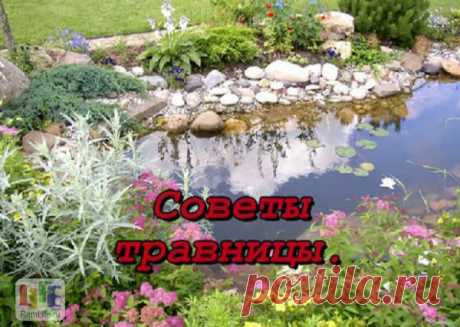 ПРАВИЛЬНОЕ ПИТАНИЕ – СОВЕТЫ СИБИРСКОЙ ТРАВНИЦЫ. 
Ошибки в питании, это причина многих наших физических недугов. Мы сейчас болеем оттого, что берем слишком много чужих продуктов (завозим много бананов, апельсинов и т.п.). Допустимо лишь 10% чужой пи…