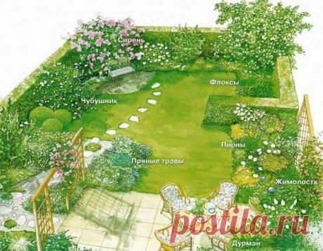 Оформление сада цветами с сильным ароматом