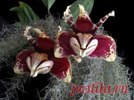 Pinterest: инструмент для поиска и хранения интересных идей