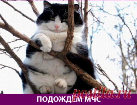 Приколняшка 511 | Чёрт побери