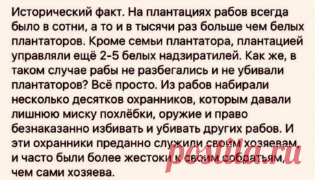 Откуда брались УБЛЮДКИ