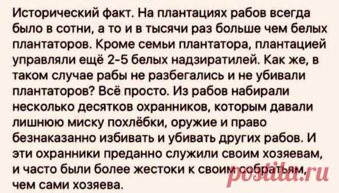 Откуда брались УБЛЮДКИ