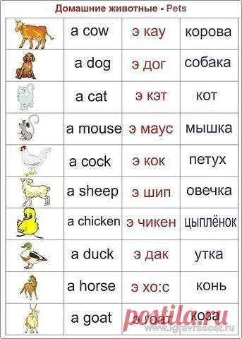 рукоделие, вязание, кулинария, домоводство