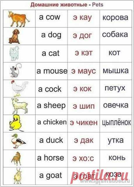 рукоделие, вязание, кулинария, домоводство