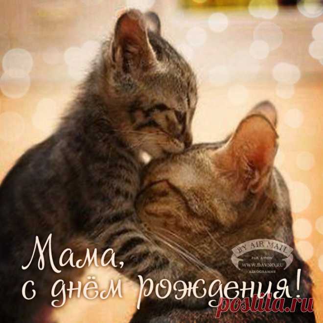 Открытки с днем рождения маме - скачайте бесплатно на Davno.ru Скачайте бесплатно красивые открытки и анимации GIF с Днем рождения маме. Новые, креативные и прикольные поздравительные открытки на день рождения мамы.