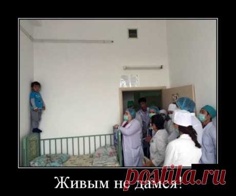 Демотиваторы - приколы