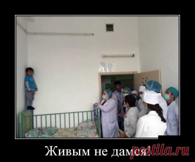 Демотиваторы - приколы