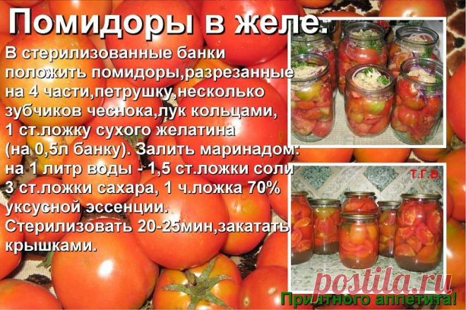 погребок | 37 фотографий