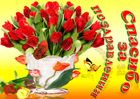 Спасибо за поздравления и теплые слова | музыкальные открытки от Малена