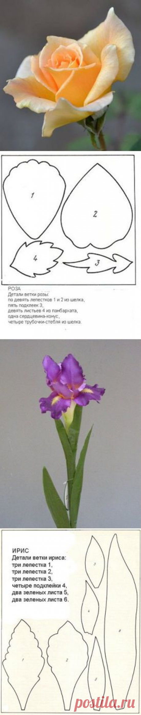 (79) Одноклассники