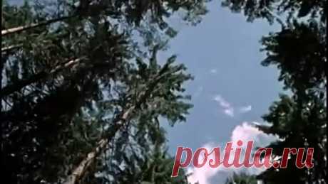 Дмитро Гнатюк - Марічка Песни наших родителей