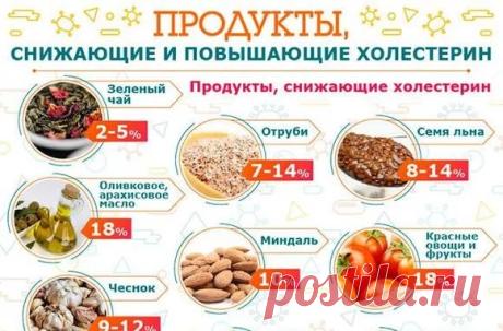 Переда Малышевой Жить Здорово о напитке который снижает холестерин на 18 процентов: 2 тыс изображений найдено в Яндекс.Картинках