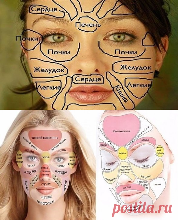ЧТО ГОВОРИТ КИТАЙСКАЯ «КАРТА ЛИЦА» О ВАШЕМ ЗДОРОВЬЕ
	

Китайцы считают, что все части лица напрямую связаны с конкретными внутренними органами.

Кожа – самый большой по площади орган нашего организма. На нем могут проявляться многочисленные внутренние проблемы со здоровьем. Если точнее, проблемы с прыщами на коже могут свидетельствовать о наличии более глубоких проблем со здоровьем.