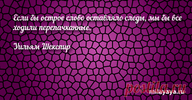 Афоризм про жизнь со смыслом для женщин и девушек (картинка 368) . Милая Я