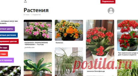 (645) Pinterest
