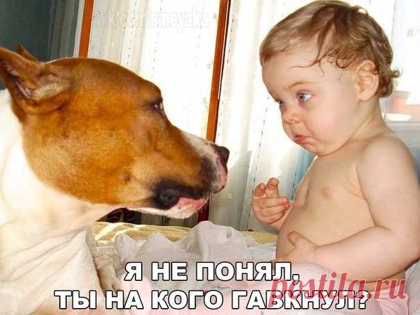 Лилия Советкина
