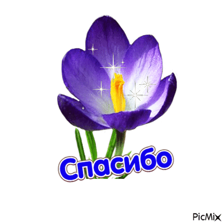8fe2fbac9cf3dbd0ecd43eeec3efb40e.gif (500×500)
