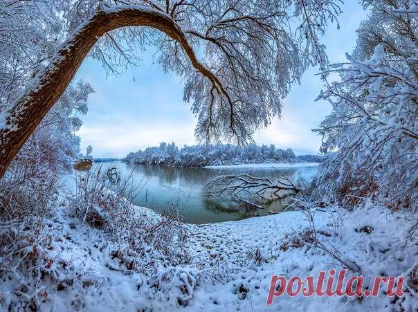 Снегопад на Тереке. Около станицы Галюгаевская, Курский район, Ставропольский край. Автор фото – Федор Лашков: nat-geo.ru/photo/user/27510/