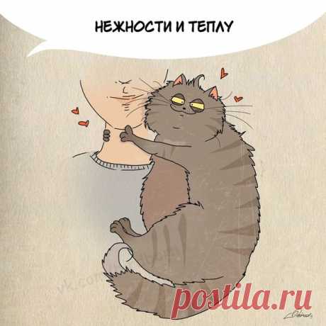 Нам есть чему поучиться у шерстяных мурлык :)