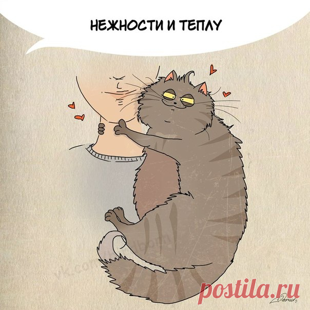 Нам есть чему поучиться у шерстяных мурлык :)