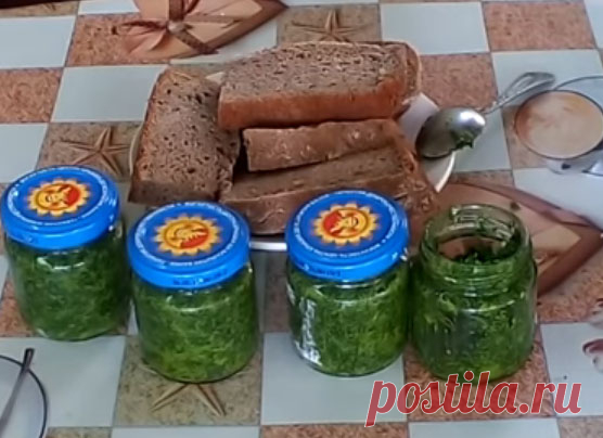 Соус-паста из укропа на зиму - лучший сайт кулинарии