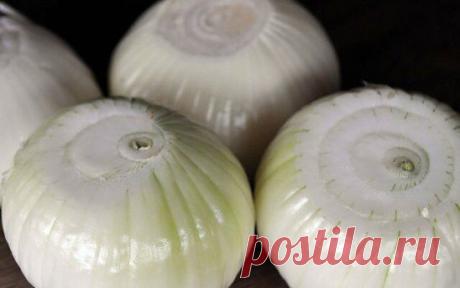 (33) Одноклассники