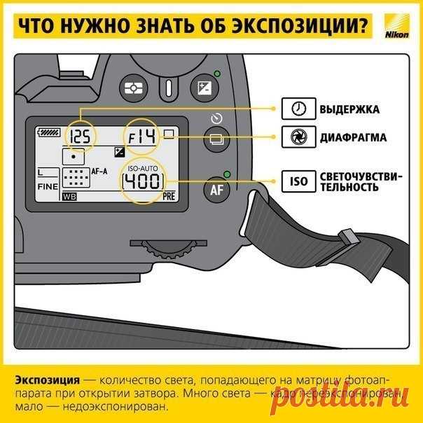 Советы для начинающего фотографа — Делимся советами